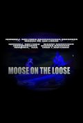 Moose on the Loose pictures.