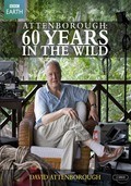 Attenborough: 60 Years in the Wild pictures.