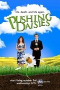 Pushing Daisies pictures.
