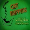 Cat Napping pictures.