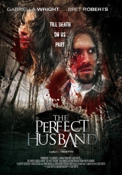 The Perfect Husband pictures.
