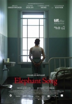 Elephant Song - wallpapers.