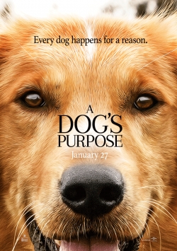 A Dog's Purpose - wallpapers.