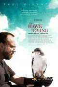 The Hawk Is Dying pictures.