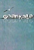 Goenkale  (serial 1994 - ...) - wallpapers.