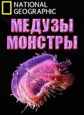 Monster Jellyfish pictures.