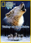 Valley of the Wolves - wallpapers.
