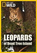 Leopards of Dead Tree Island - wallpapers.