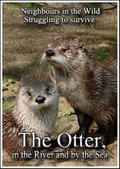 Neighbours in the Wild. Struggling to survive. The Otter, in the River and by the Sea - wallpapers.