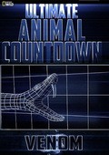 Ultimate Animal Countdown: Venom - wallpapers.
