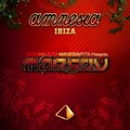 Amnesia Ibiza pictures.