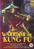 Warriors of Kung Fu - wallpapers.