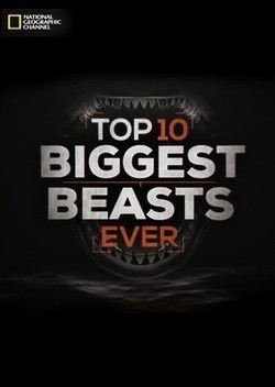 Top-10 Biggest Beasts Ever pictures.