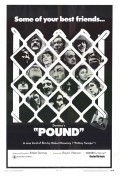 Pound - wallpapers.