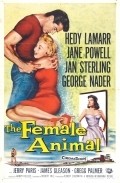 The Female Animal pictures.