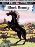 Black Beauty pictures.