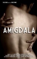 Amigdala pictures.