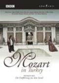 Mozart in Turkey - wallpapers.
