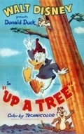 Up a Tree - wallpapers.