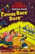 Canvas Back Duck - wallpapers.