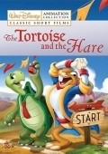 The Tortoise and the Hare - wallpapers.