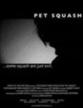 Pet Squash - wallpapers.