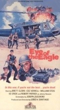 Eye of the Eagle pictures.